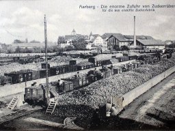 aarberg-zucker-1914