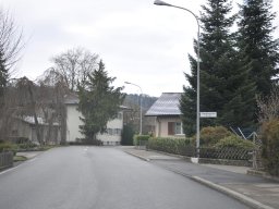 2015-1-aegerten-2