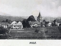 bole-1908