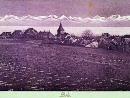 bole-1919-2