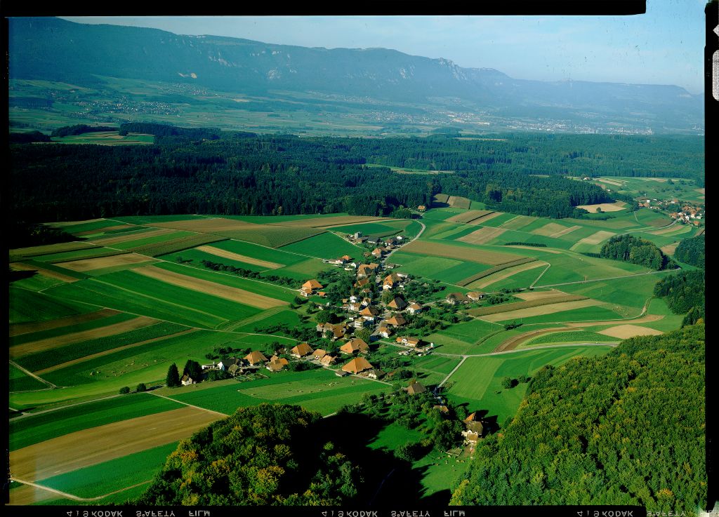 1982 Gossliwil