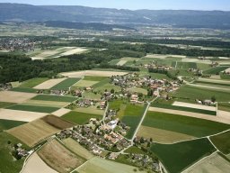 2004-Ammerzwil