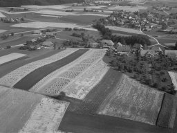 Ammerzwil-Wingarten-1971-1