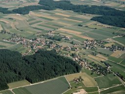1990-Grossaffoltern