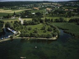 moerigen-1981-1