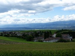 Frienisberg_-_Hintergrund_Berner_Seeland_und_Jura