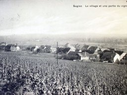 Sugiez-1922