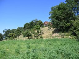 2025-walperswil-11