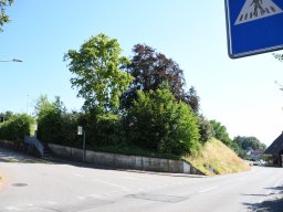 2025-walperswil-46