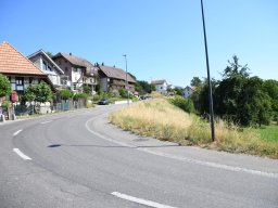 2025-walperswil-50